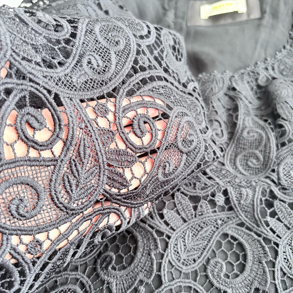 Anthropologie Maeve Embroidered Lace Mini Black Lace Whimsy goth Dress Sz 6 US - Picture 9 of 10